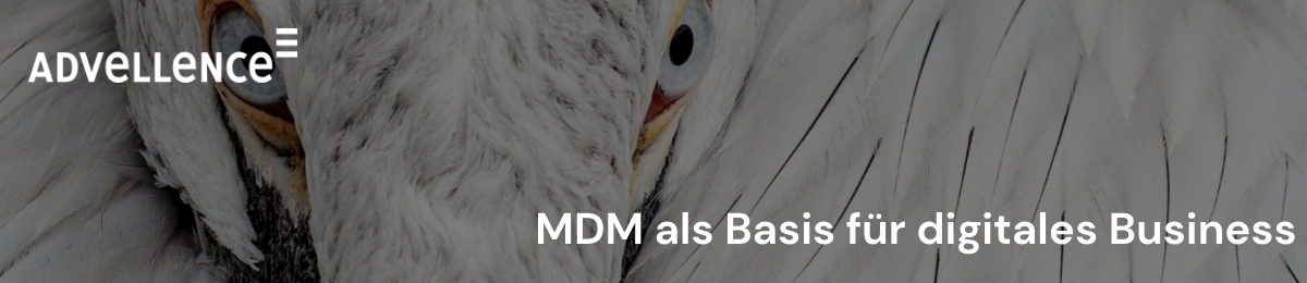MDM als Basis für digitales Business