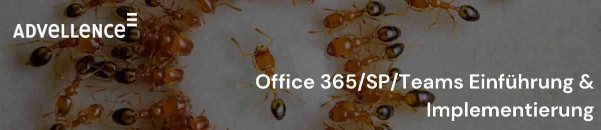 Office 365:SP:Teams Einführung & Implementierung